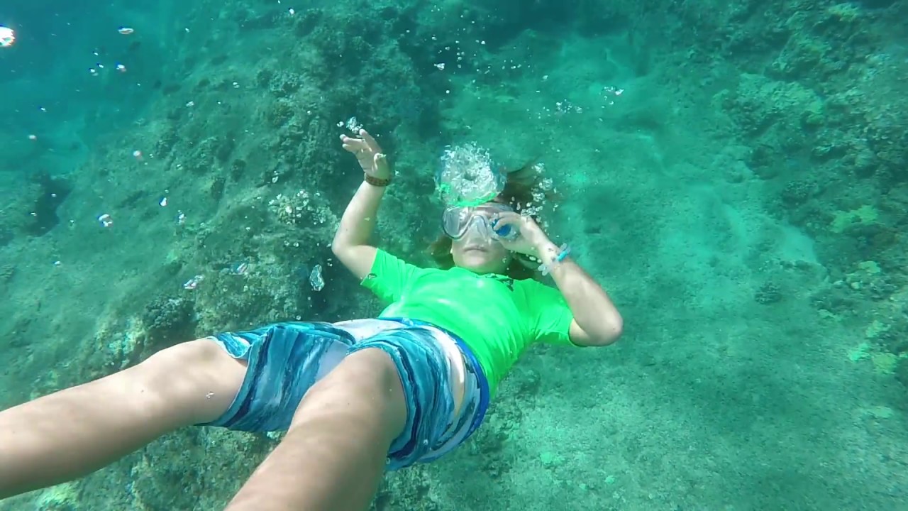 Shark's Cove Snorkeling - YouTube