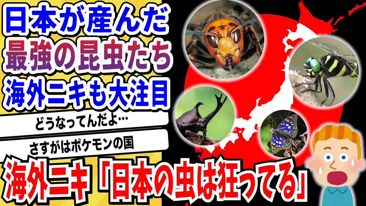 【2ch動物スレ】日本とかいう魔境で生まれ育った昆虫たちが世界レベルでハイスペックすぎて海外ニキがドン引きwwwww【なんj/にちゃん 面白いスレ】