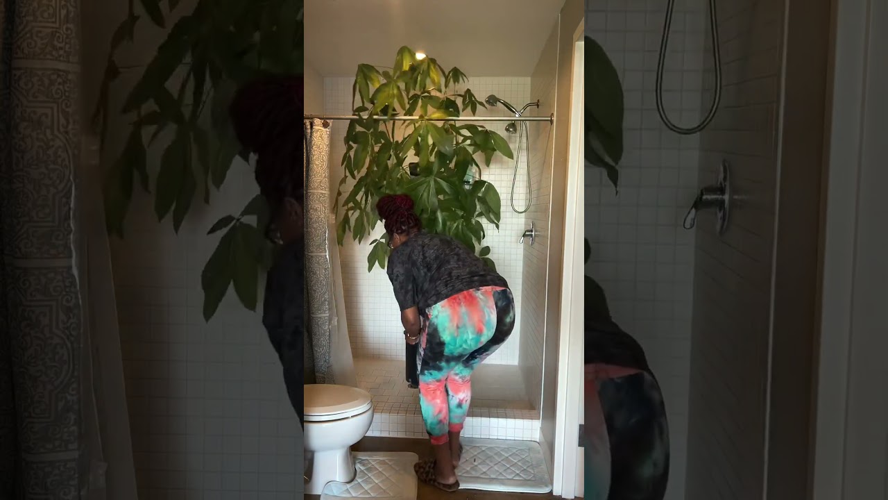 My 6.5ft tall money tree was infested with spidermites🤦🏽‍♀️ 