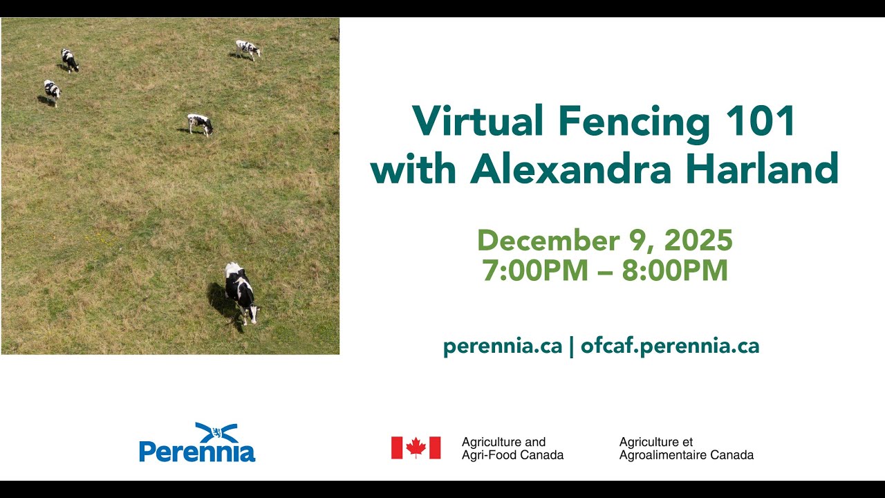 Virtual Fencing 101 with Alexandra Harland