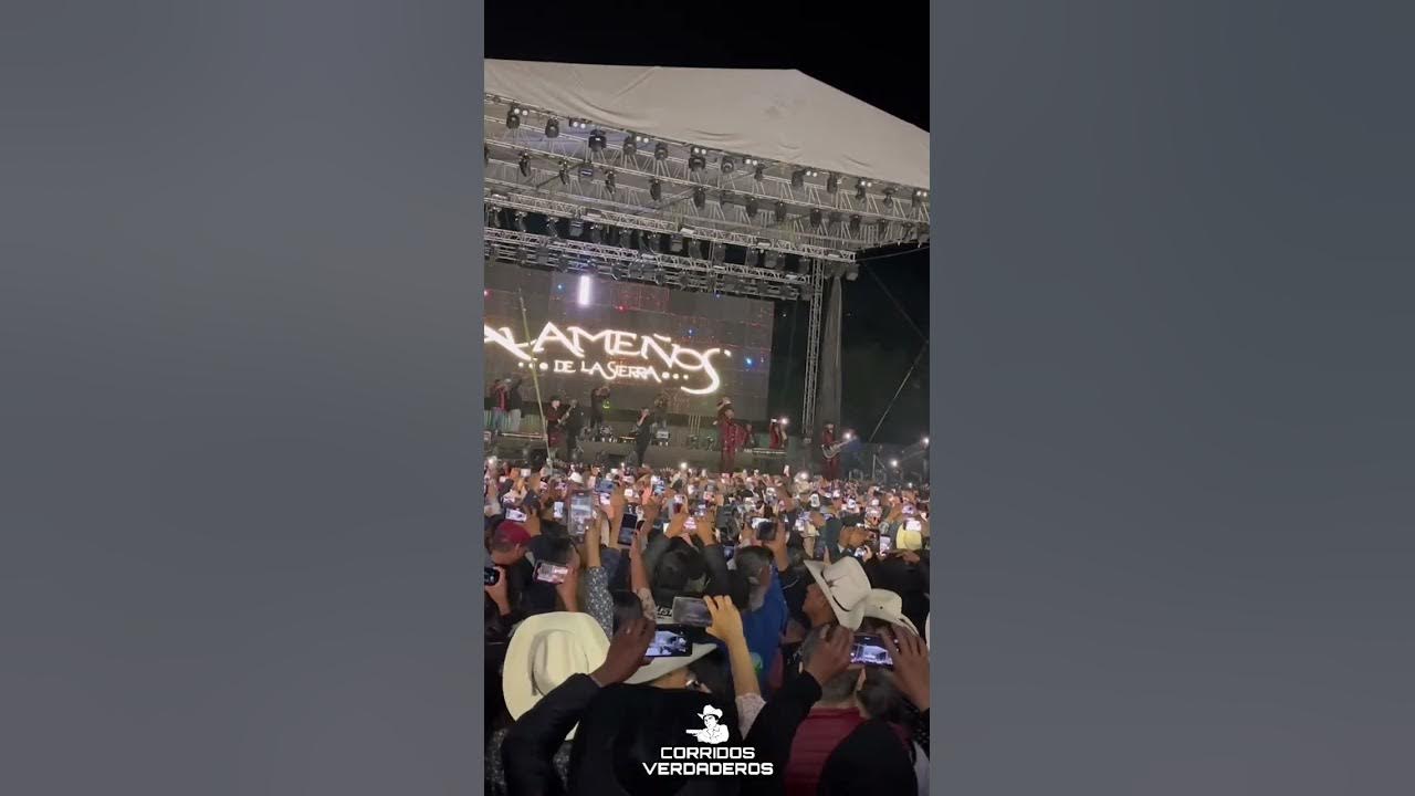 Los Alameños De La Sierra Descontrolan Oaxaca Hechando Chelas 🍺 EL SINALOENSE