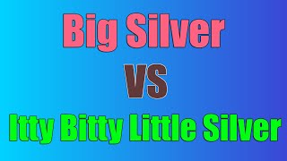 Big Silver vs Itty Bitty Little Silver Showcasing