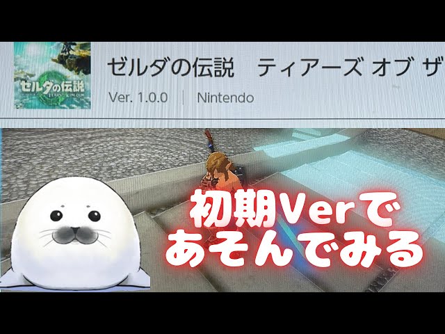 初期ROM】「ゼルダの伝説 ティアーズ オブ ザ キングダム」Ver