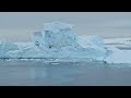 the sounds and sights on Ponant Le Boreal Antarctic expedition cruise