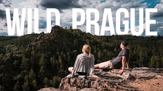 Wild Prague 2017