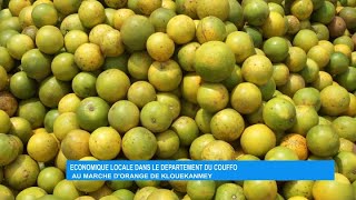 Économie locale dans le département du Couffo : au marché d’orange de Klouékanmey