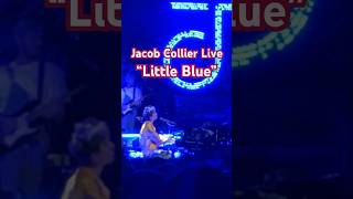 Amazing performance by Jacob Collier Little Blue live #shorts #jacobcollier #djessevol4 #littleblue