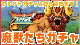 【ドラクエタクト】また速攻キャラかーい！でもガチャやります！【DQT】