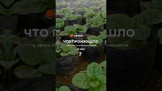 Что произошло в сфере АПК и пищевой промышленности 6 мая? #новости #москва #ставрополь #масло