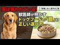 実は狙われてます!獣医が教えるドッグフードの罠と正しい選び方
