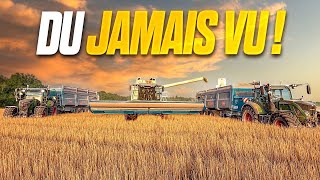 Je Découvre Une Coupe Unique Au Monde 1 Mois Dans Ma Vie 331