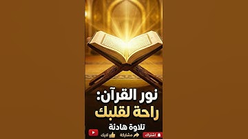 #محمد_اللحيدان #سورة_الاخلاص #قرآن #قران_كريم #تلاوات_خاشعة #راحة_نفسية #اسلاميات #اكسبلور #quran