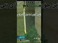 این جوری همه رو بازی بتی