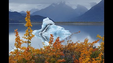 Fireflies   FREE Video Background Loop HD 1080p1080p