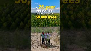 A 26-year transformation: From barren land to 50,000 trees