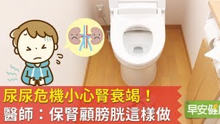 尿尿危機小心腎衰竭!醫師:保腎顧膀胱這樣做