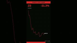 ZS -31.3% — What's Happening? 📉 #Shorts
