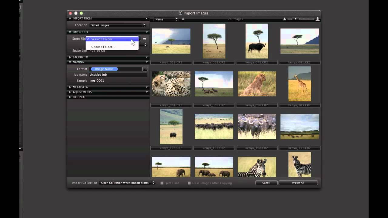 Sessions in Depth in Capture One Pro 7 | Phase One - YouTube