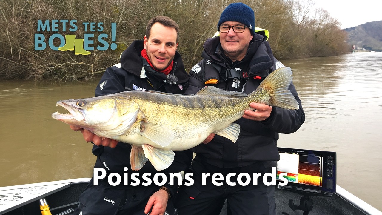Ludovic Pinchedé : sur la piste des plus gros sandres d’Europe