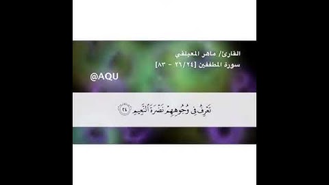 سورة المطففين - الآية 24 حتى 26 - بصوت القارئ ماهر المعيقلي