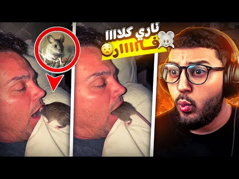 ناري اخيب بلان يوقع ليك او انت ناااعس