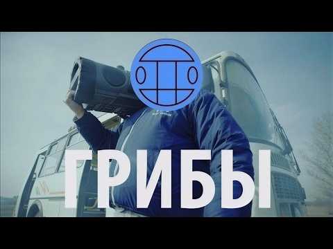Превью для «Грибы - Тает Лёд»