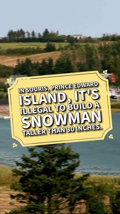6-stupid-laws-in-the-canada-shorts-viral-trending-foryou-youtube