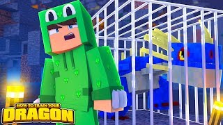 THEY TOOK OUR NIGHT FURY DRAGONS!!! HOW TO TRAIN YOUR DRAGON #60 w/ Little Lizard