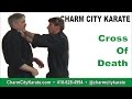Cross Of Death - Kenpo self-defense for a front cross arm choke