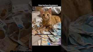 Duniya Pressure Cooker