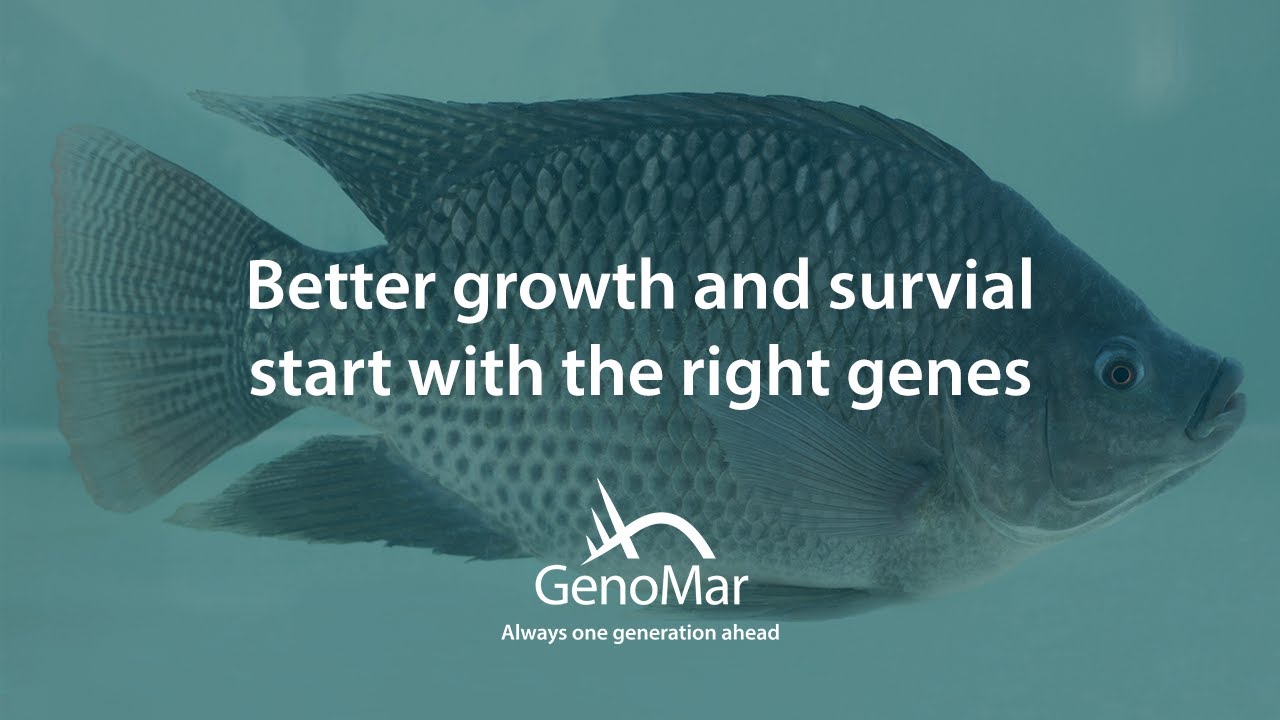 GenoMar Genetics Group presentation - YouTube