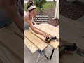 Woman Builds Her Dog A Custom Couch With An Extra Cushion | The Dodo