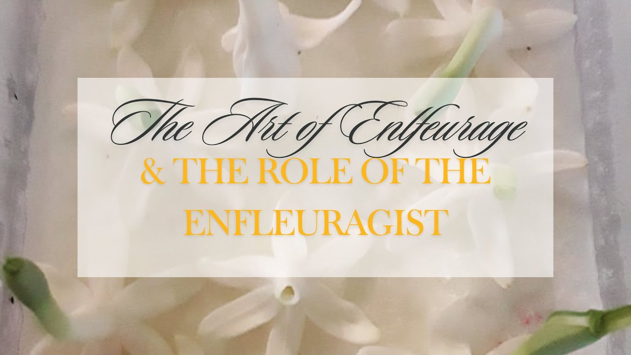 The Enchanting World of Enfleurage & Role of the Enfleuragist