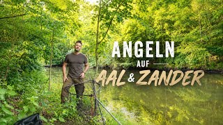 Aal &amp; Zander – Angeln am kleinen Fluss🎣🌕