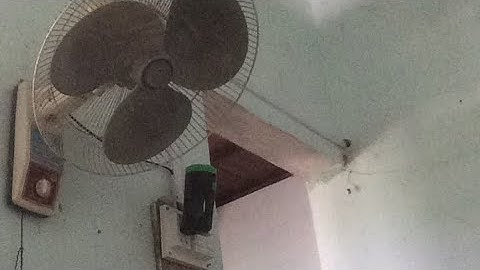 Trực tiếp vẽ Vườn truòng mơ ước