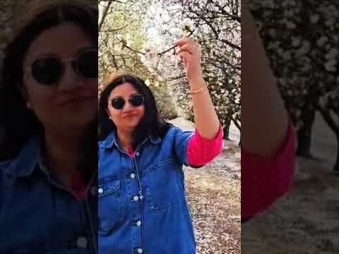 Miley Cyrus Performs 