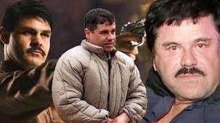 Do you know who El Chapo is who surpassed Pablo Escobar by force He is still ali