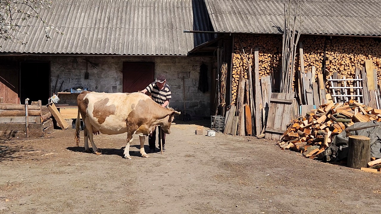 This is what the real village life of an elderly grandfather and grandmother looks like