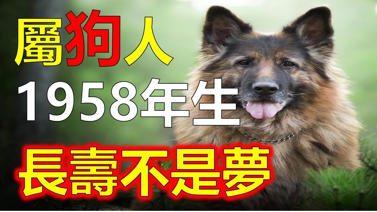 1958 年出生的屬狗人，天干戊地支戌五行土，屬狗人今年66歲財運秘訣立馬揭露，屬狗人財源廣進長生不老的秘密，戊戌狗的黃金年華，屬狗人如何優雅地老去，屬狗人的健康密碼，屬狗人今年必知的養生之道）阿南德