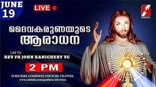 JUN 19|ദൈവകരുണയുടെ ആരാധന|Karuna kontha|FR JOHN KANICHERY VC|DIVINE ADORATION|Aradhana|GOODNESS TV