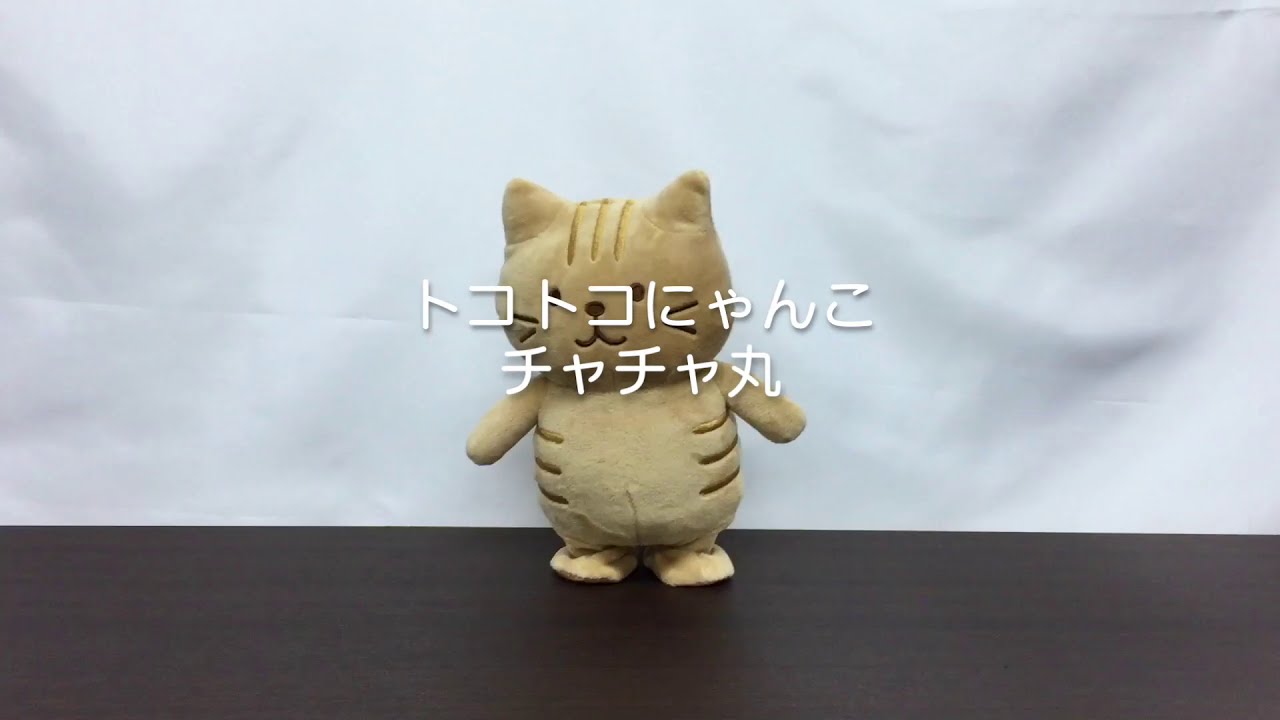 FukuFukuNyanko まねっこトコトコにゃんこ チャチャ丸 - YouTube