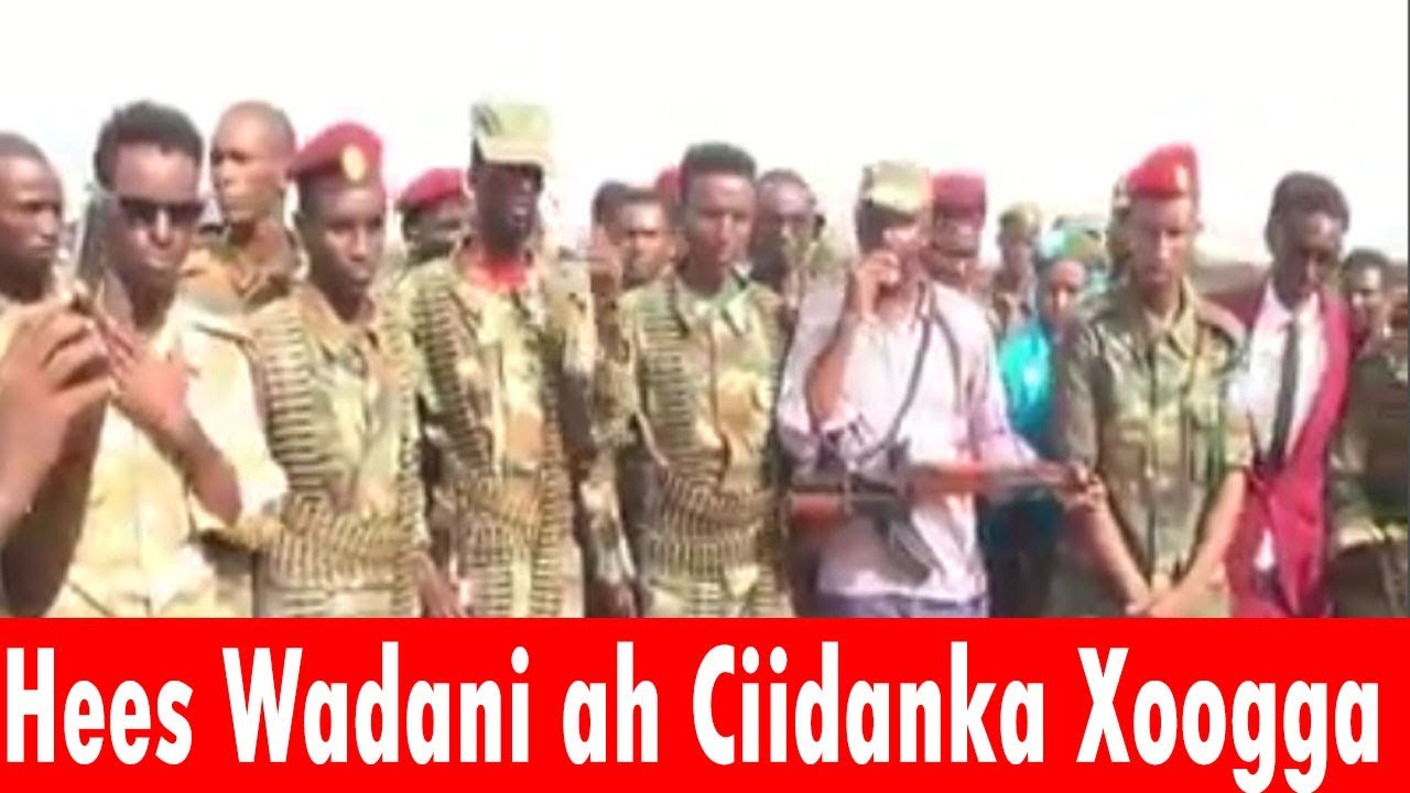 Daawo Hees Wadani ah Dhiiga waxaan U Qubayaa dhulkayga anaa iskale