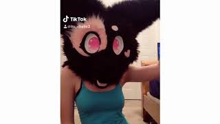 Tiktok Furry Cringe Try Not To Cringe