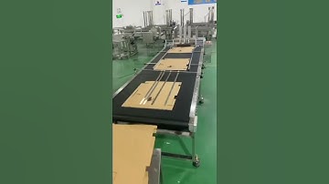 Box Paper Plastic Bag Labeling Adjustable Speed Automatic Conveyor Paging Machine