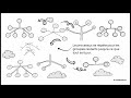 2-Data Mining :Arbres de Décision#notebooklm