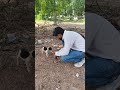 ये puppy मुझे देख रहा था… जैसे मदद माँग रहा हो…🐶#puppy #cutepuppy #doglover #streetdog #ytshorts