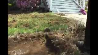 Watertown - Back to Normal?