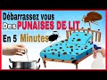 Vaporisez ceci sur votre matelas et liminera  jamais les punaises de lit de votre lit