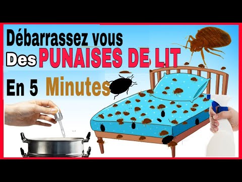 Vidéo: De Quoi Les Punaises De Lit Ont-elles Peur ? Comment Se Débarrasser Des Punaises De Lit à L'odeur D'herbes ? Quels Outils N'aiment-ils Pas ? Comment Se Débarrasser Des Punaises Dom