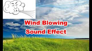 Wind Blowing Noises Sounds | Film & Sound Effects No Copyright
